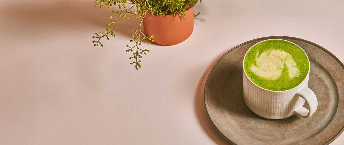 Matcha Tea Shop Gotcha Matcha Teas