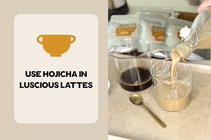 Explorer Bundle with Gotcha Matcha and Hojicha